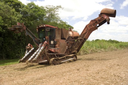 Máquina Cortadora de Cana (Foto por: Edson Grandisoli)