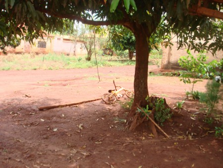 (Foto por: Giulia Patitucci)